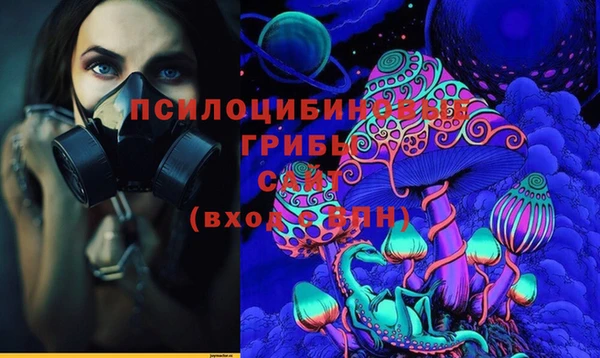 каннабис Аркадак