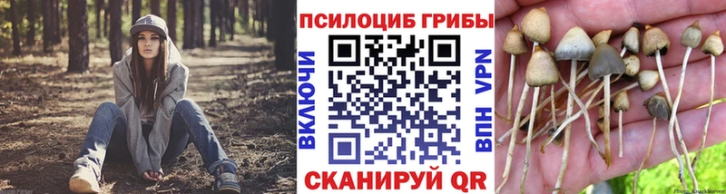 Псилоцибиновые грибы ЛСД  Орёл 